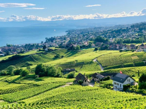 #Lavaux